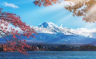 细致呵护:北京个人工作室为您定制的个性化按摩养生体验