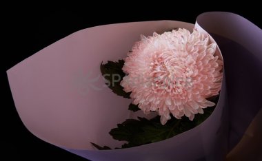 北京天通苑个人按摩:1v1 solo的天花板