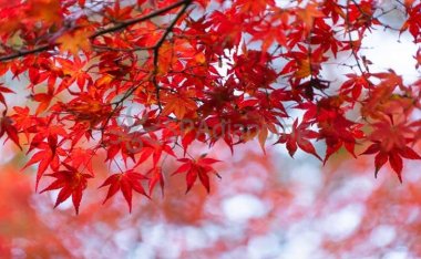 北京个人家庭式三起三落,带给你回味无穷的体验