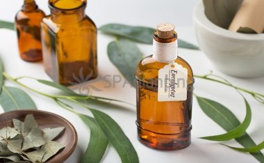 北京个人spa工作室按摩新手法:三起三落,带你返璞归真