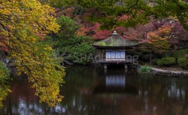 北京个人家庭养生电话查询及预约方式，享受私密养生服务