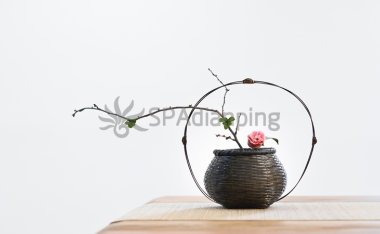 北京会所养生-品味高贵养生文化的不二场所