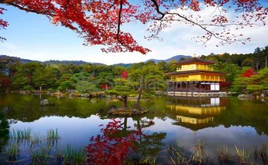 北京大屯路家庭式SPA，舒适家庭按摩体验