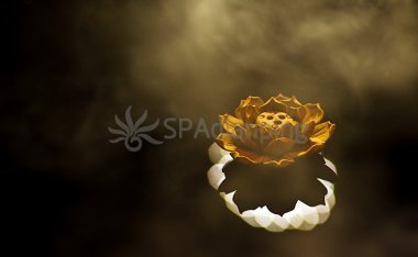 北京按摩收费规则解析，了解正规按摩的计费方式