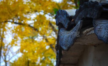 北京男士抓龙筋服务注意事项,健康第一,安心养生