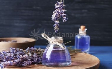 北京大兴亦庄附近家庭式按摩养生体验