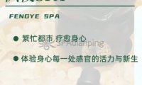 枫夜SPA