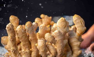 北京养生网分享冬季养生食物:滋补身体,抵御寒冷