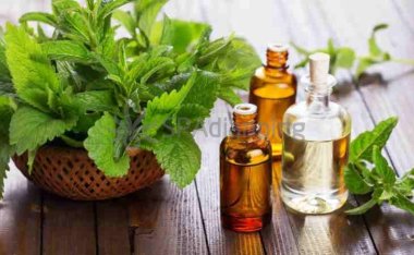 北京朝阳SPA体验指南