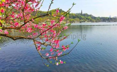 北京养生网分享的春季养生要点:拥抱春天,呵护健康