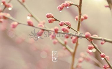 北京养生会所揭秘：立春养生需知，迎接春暖花开