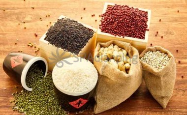 北京个人保健工作室推荐的春季养生秘籍