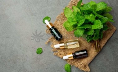 北京个人家庭式预约体验：电话联系方式指南