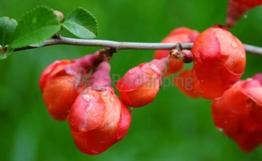 探秘北京养生会所春季祛湿妙招