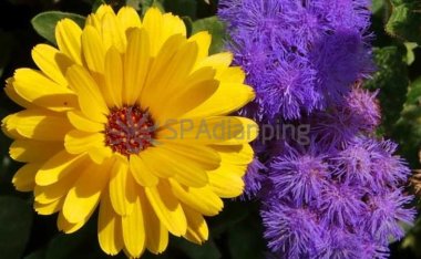 北京养生休闲:都市体验的全方位探索