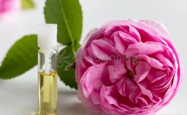 北京养生与SPA指南：从豪华至家庭式，全面解析首都的休闲天堂