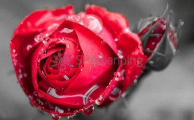 北京丝袜会所教您如何有效淡化色斑